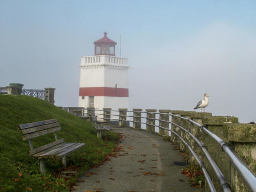 041111 Seawall Brockton Point lighthouse seagull 003