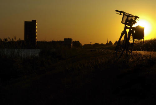 070430 Amsterdam Orange Day 852a