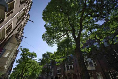 070627 Gooimeer- Amsterdam and Madurodam 049a