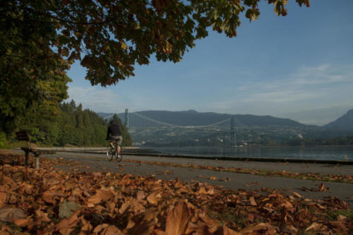 120926 lions gate biker autumn leaves041