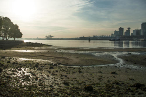 120926 shorescape burrard inlet024