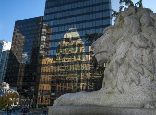 121110 Fall Downtown 076