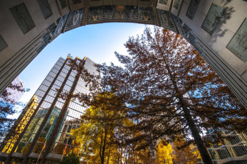 121110 Fall Downtown 110