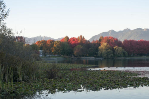 131023 Trout Lake Fall Colours Mountains065